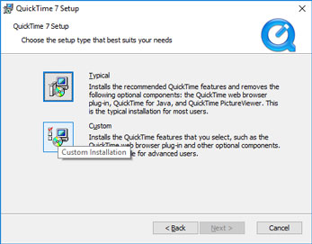 Choose "Custom" not "Typical"