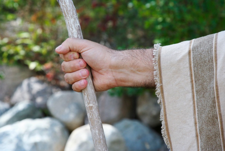 Sheeft Hand The shepherd's hand | oakleys.org.uk
