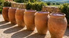 6 water jars filled with wine