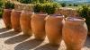 6 water jars filled with wine